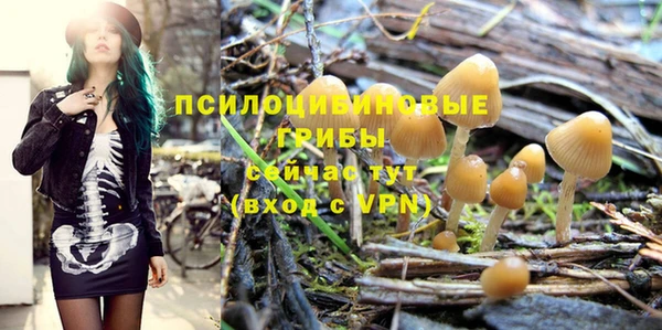 соль курить ск Яровое