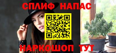 бошки Будённовск