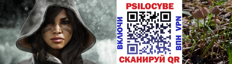 хочу наркоту Санкт-Петербург Галлюциногенные грибы прущие грибы