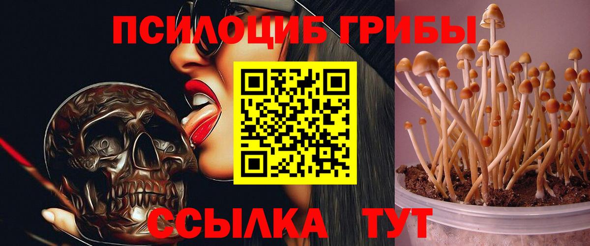 Галлюциногенные грибы мицелий  Санкт-Петербург 