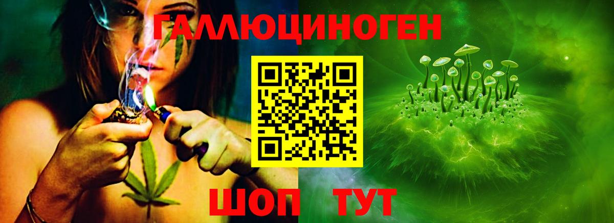 Псилоцибиновые грибы MAGIC MUSHROOMS Санкт-Петербург
